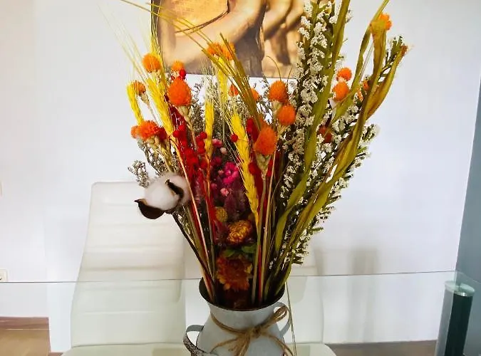 Next Stop Playa Salinas *